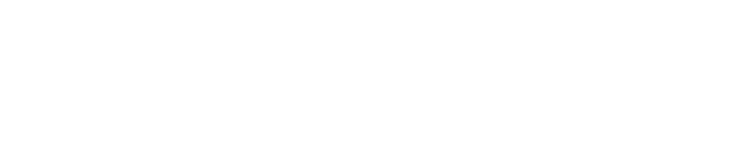 CyberNova